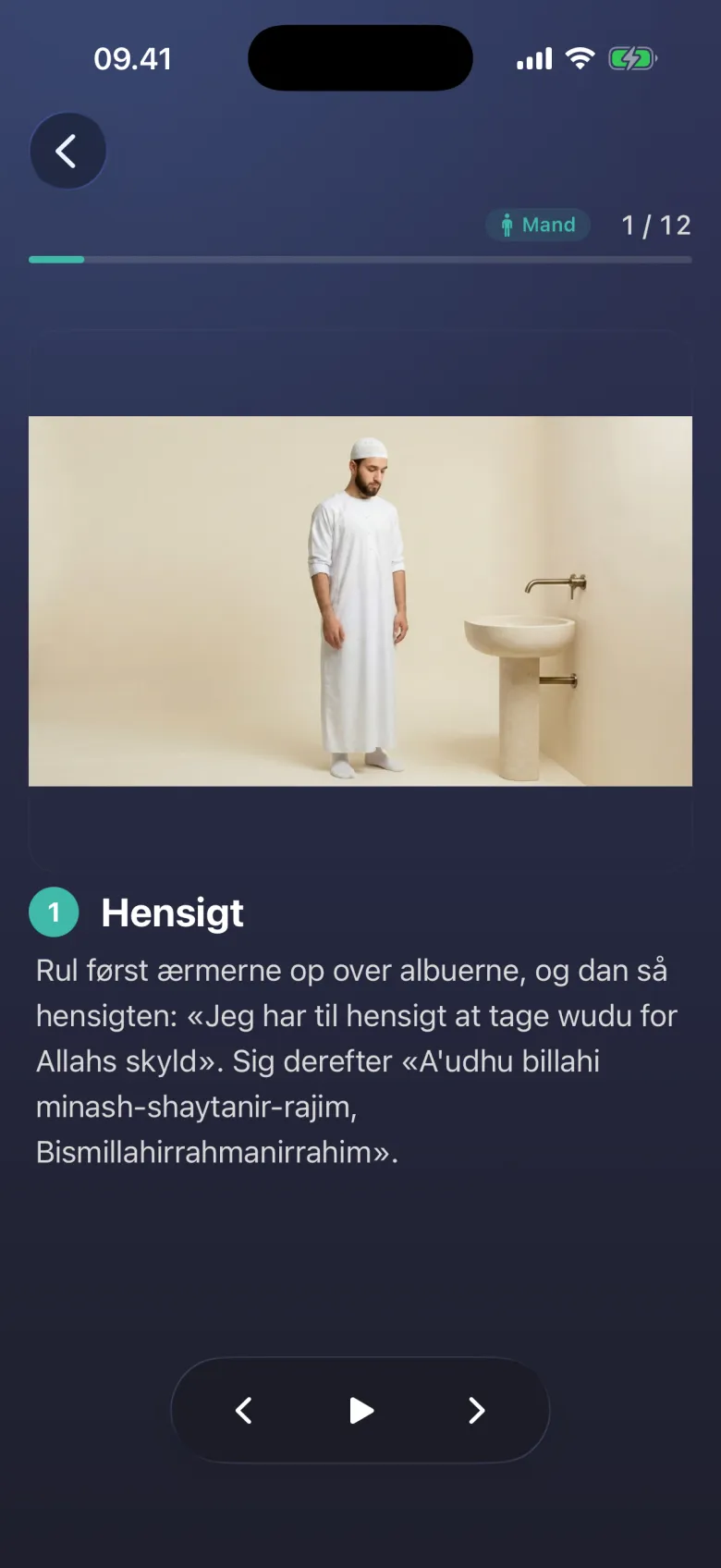 Sytten bønner, illustreret.