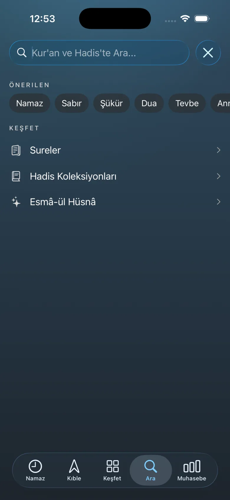 Birleşik Arama